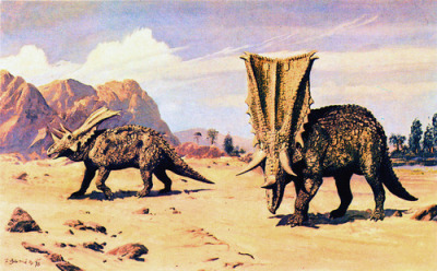 Khủng long tê giác Chasmosaurus - 1