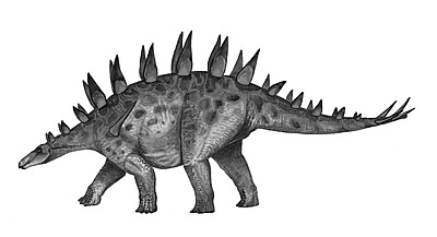 Khủng long Trùng Khánh (Chungkingosaurus) - 1