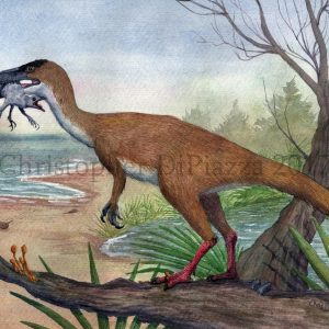 Khủng long mỹ cáp Compsognathus - 1