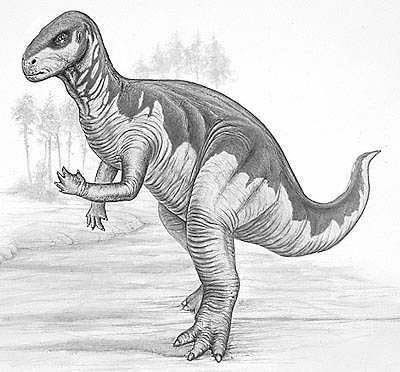 Khủng long linh hoạt Camptosaurus - 1