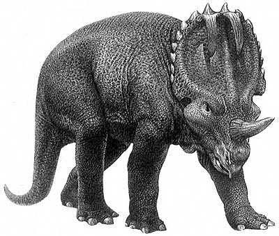 Khủng long sừng nhọn Centrosaurus - 1