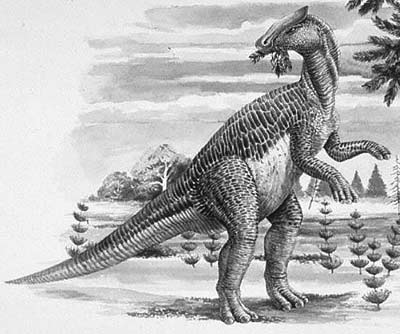 Khủng long mào ngắn Brachylophosaurus - 1