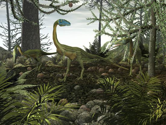 Khủng long xương khoang Coelophysis - 10