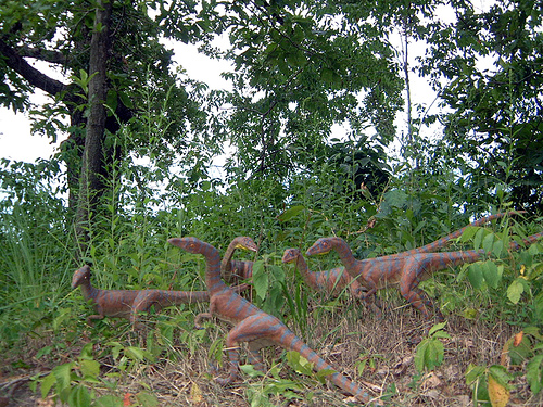 Khủng long mỹ cáp Compsognathus - 11