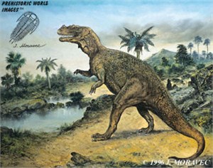 Khủng long sừng Ceratosaurus - 11