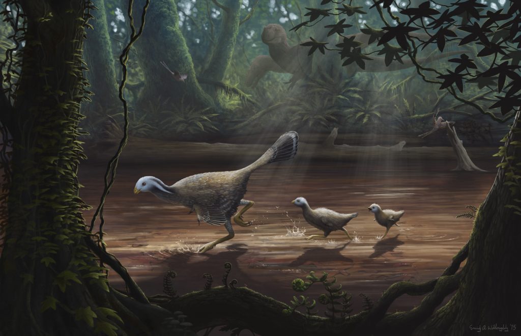 Khủng long đuôi lông vũ Caudipteryx - 12