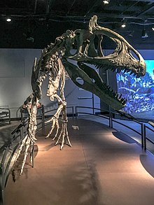 Khủng long Cực Nam Cryolophosaurus - 13