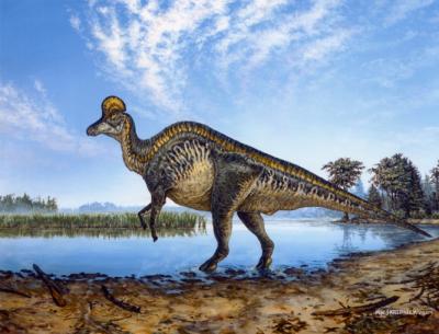 Khủng long mũ sắt Corythosaurus - 14