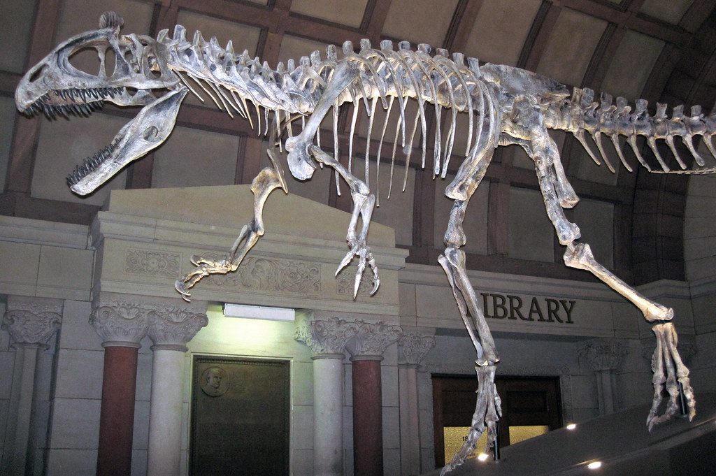 Khủng long Cực Nam Cryolophosaurus - 14
