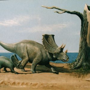 Khủng long tê giác Chasmosaurus - 2