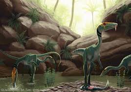 Khủng long xương khoang Coelophysis - 2