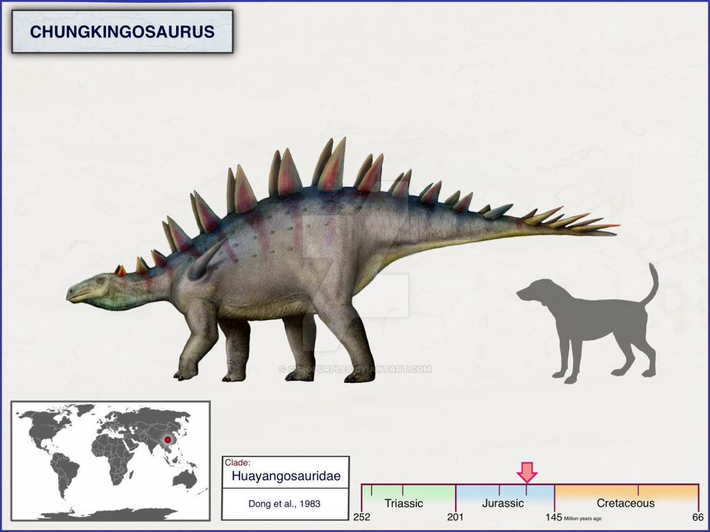 Khủng long Trùng Khánh (Chungkingosaurus) - 2