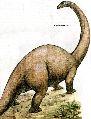 Khủng long Kình ngư Cetiosaurus - 2