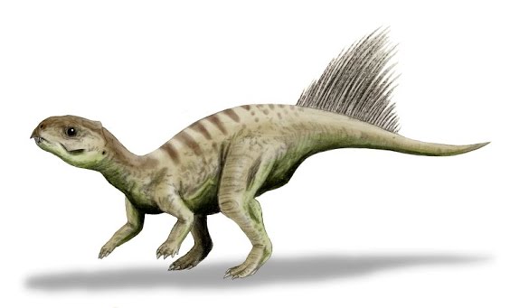 hủng long Triêu Dương (Chaoyangsaurus) - 2