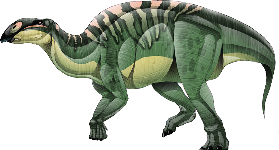 Khủng long mào ngắn Brachylophosaurus - 2