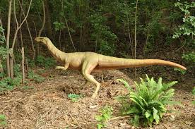 Khủng long xương khoang Coelophysis - 3