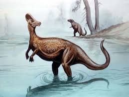 Khủng long mũ sắt Corythosaurus - 3