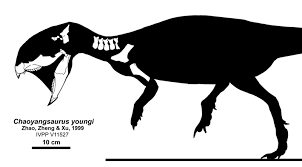 hủng long Triêu Dương (Chaoyangsaurus) - 3