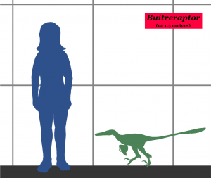 Khủng long kền kền Buitreraptor - 3