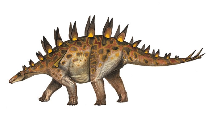 Khủng long Trùng Khánh (Chungkingosaurus) - 4