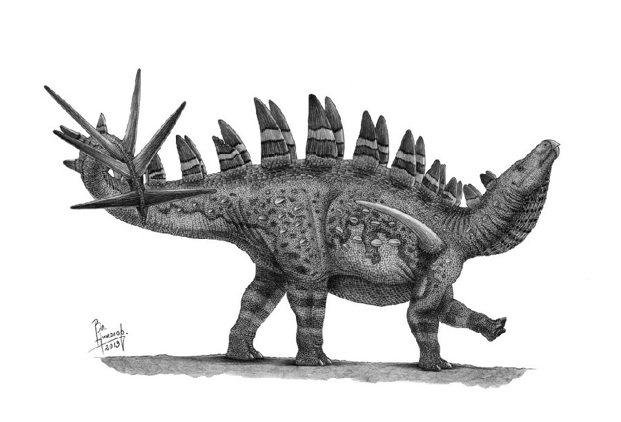 Khủng long Trùng Khánh (Chungkingosaurus) - 5