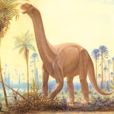 Khủng long khoang rỗng Camarasaurus - 5