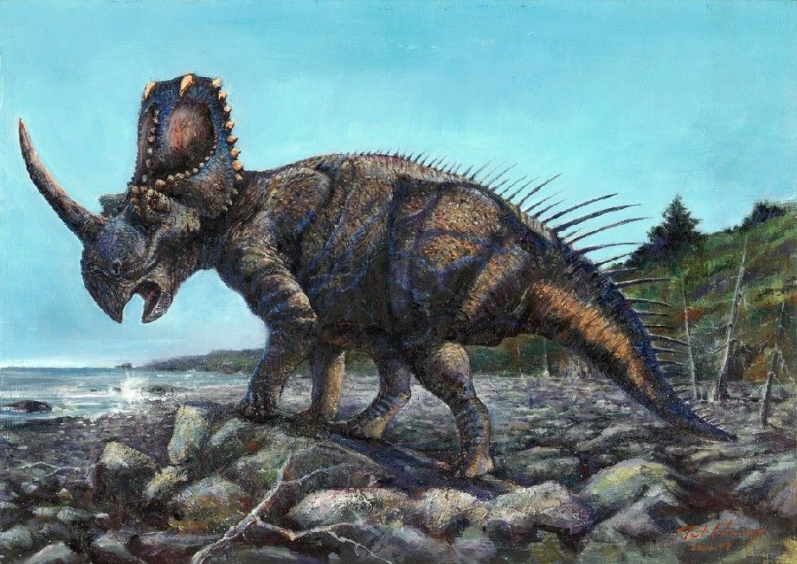 Khủng long sừng nhọn Centrosaurus - 5