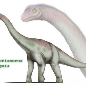 Khủng long Chubut (Chubutisaurus) - 6