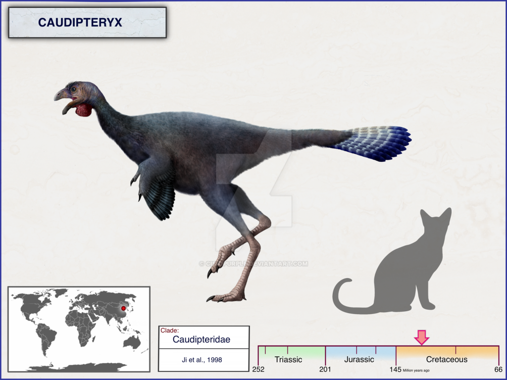 Khủng long đuôi lông vũ Caudipteryx - 6