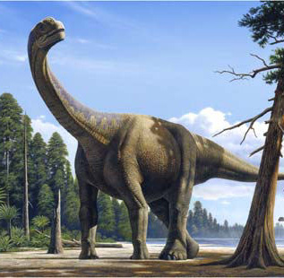 Khủng long khoang rỗng Camarasaurus - 6