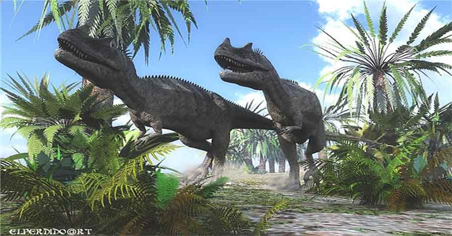 Khủng long sừng Ceratosaurus - 6