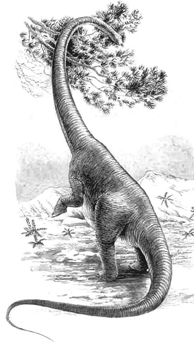Khủng long sông Kim Sa (Chinshakiangosaurus) - 7