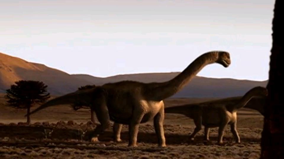 Khủng long khoang rỗng Camarasaurus - 7