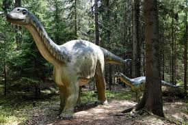 Khủng long khoang rỗng Camarasaurus - 8