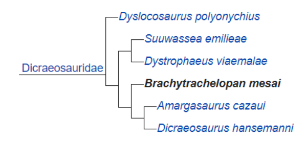 Khủng long cổ ngắn Brachytrachelopan - 8