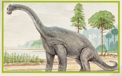 Khủng long sông Kim Sa (Chinshakiangosaurus) - 8