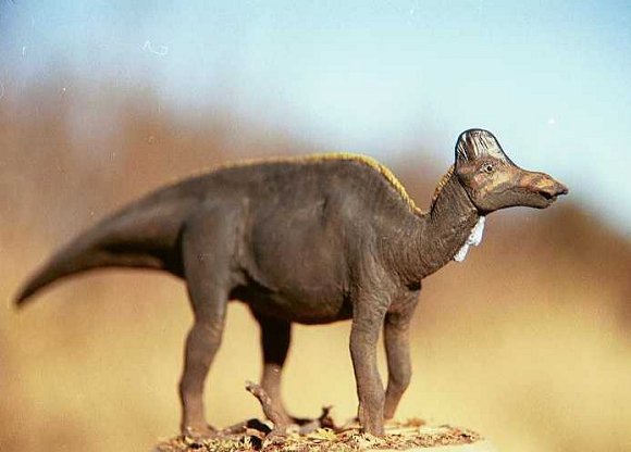 Khủng long mũ sắt Corythosaurus - 8