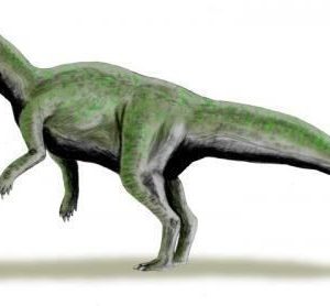 hủng long Triêu Dương (Chaoyangsaurus) - 8