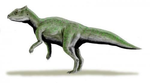 hủng long Triêu Dương (Chaoyangsaurus) - 8