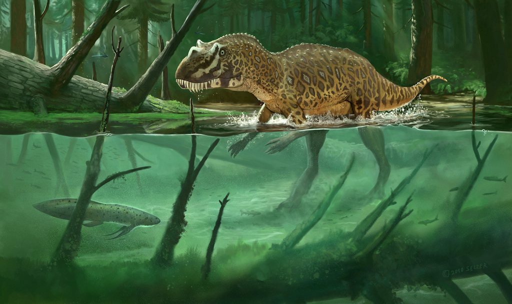 Khủng long sừng Ceratosaurus - 9