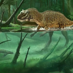Khủng long sừng Ceratosaurus - 9