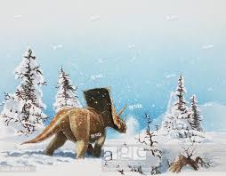 Khủng long tê giác Chasmosaurus - 9