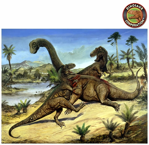 Khủng long khoang rỗng Camarasaurus - 9